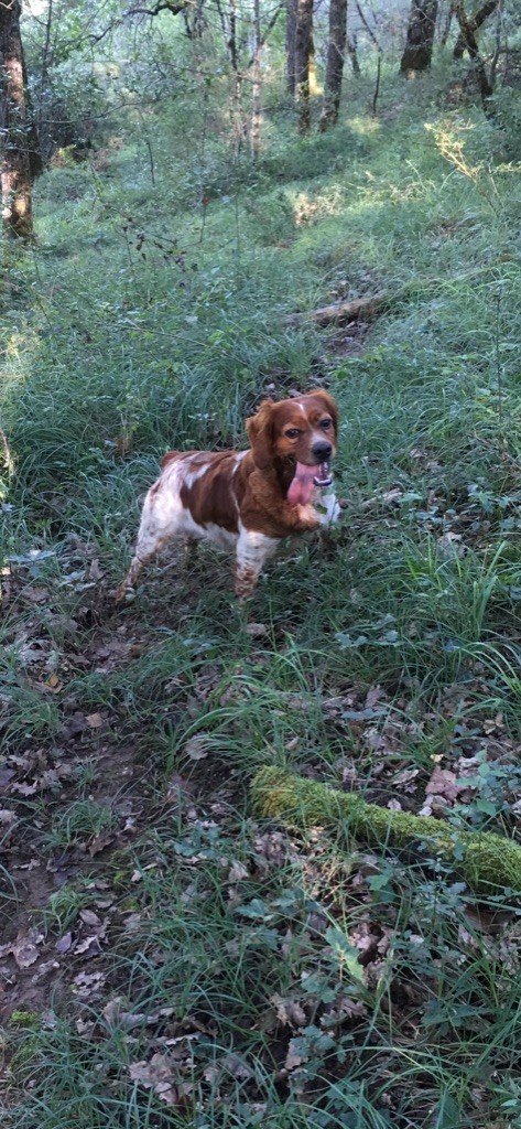 Janette des berges du Luy