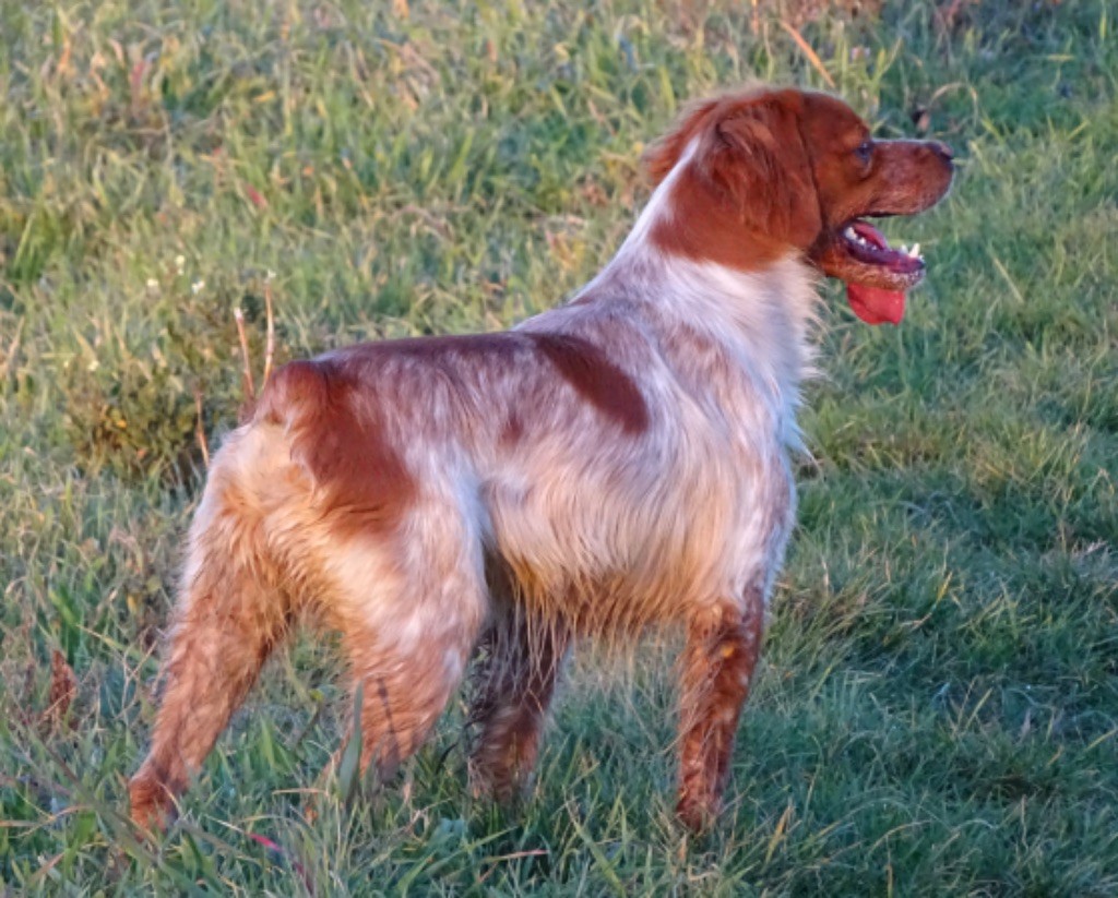 Timber Des Coteaux De Pauthe