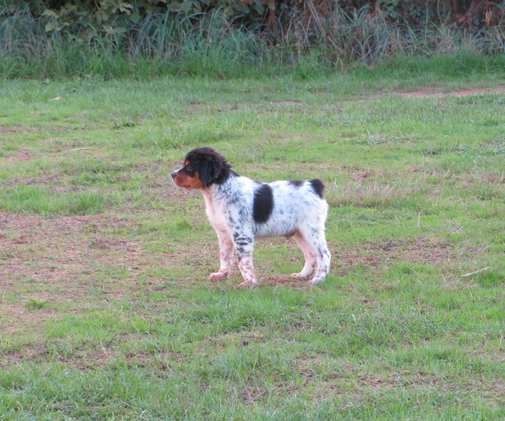 Atos De la plaine marat